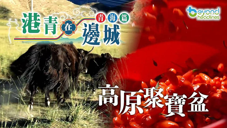 《港青在邊城》青海行：高原聚寶盆