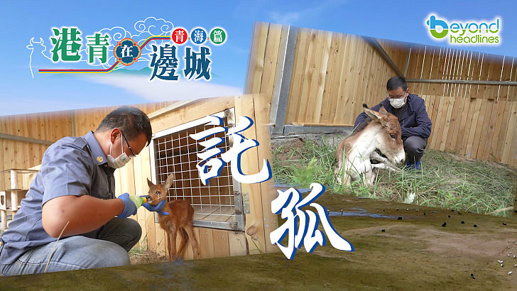 【港青在邊城】青海篇：託孤