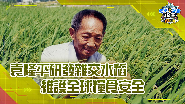 【家國公民智多FUN】袁隆平研發雜交水稻 維護全球糧食安全